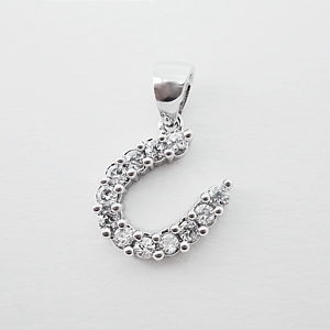 Small Horseshoe Pendant with Cubic Zirconias